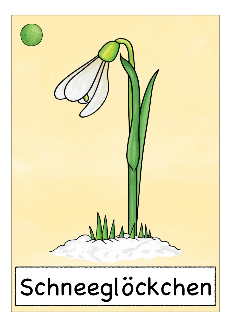 German flower vocabulary card labeled 'Schneeglöckchen' (snowdrop), showing a white flower growing through snow