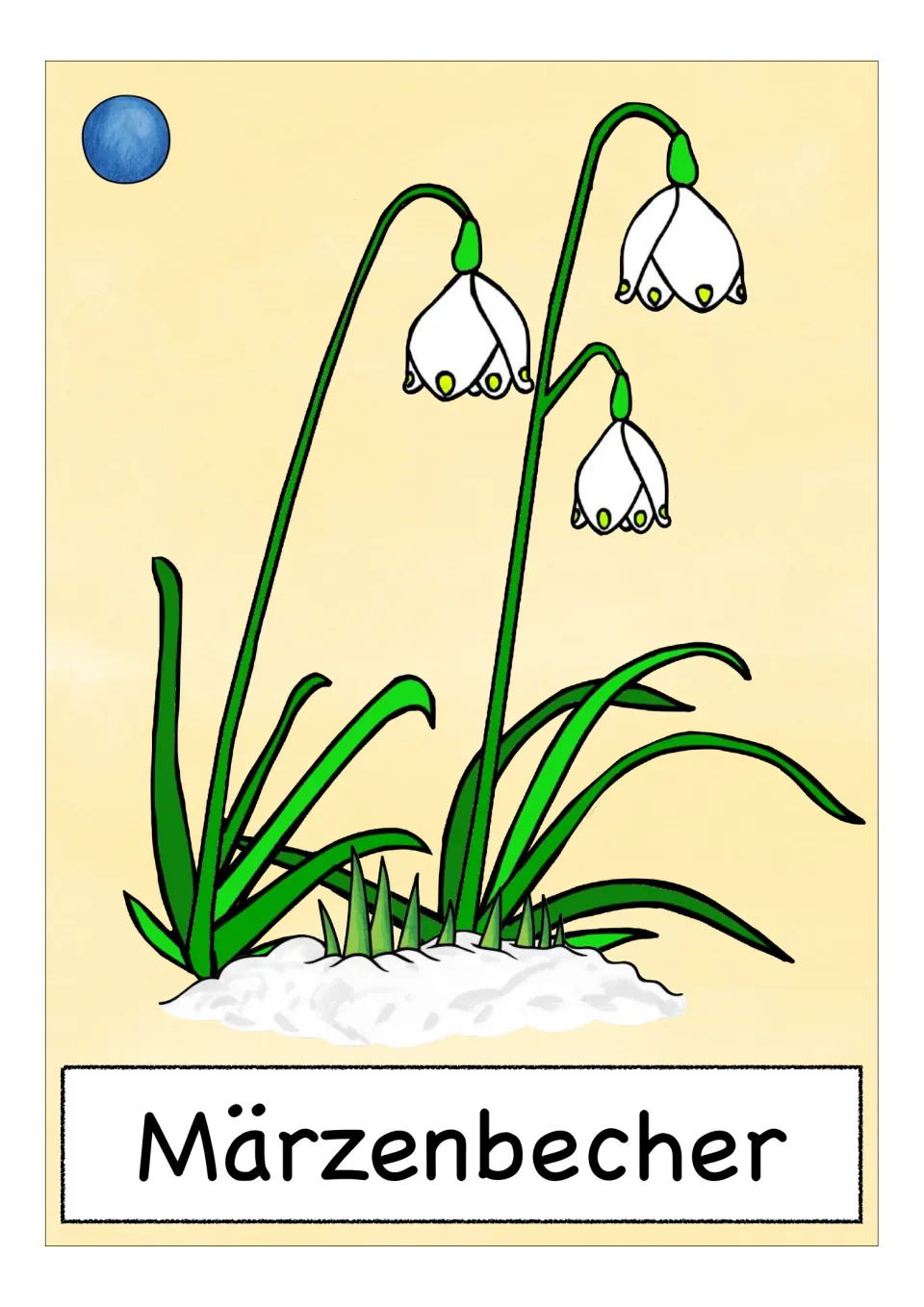 German flower vocabulary card labeled 'Märzenbecher' (spring snowflake), showing white bells with green tips