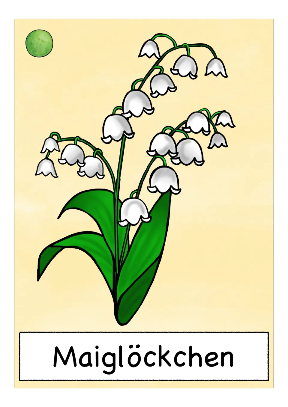 German flower vocabulary card labeled 'Maiglöckchen' (lily of the valley), showing stems of small white bells