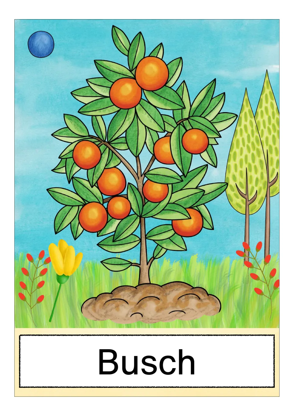 German farm vocabulary card labeled 'Busch' (bush), showing a green bush bearing round orange fruit