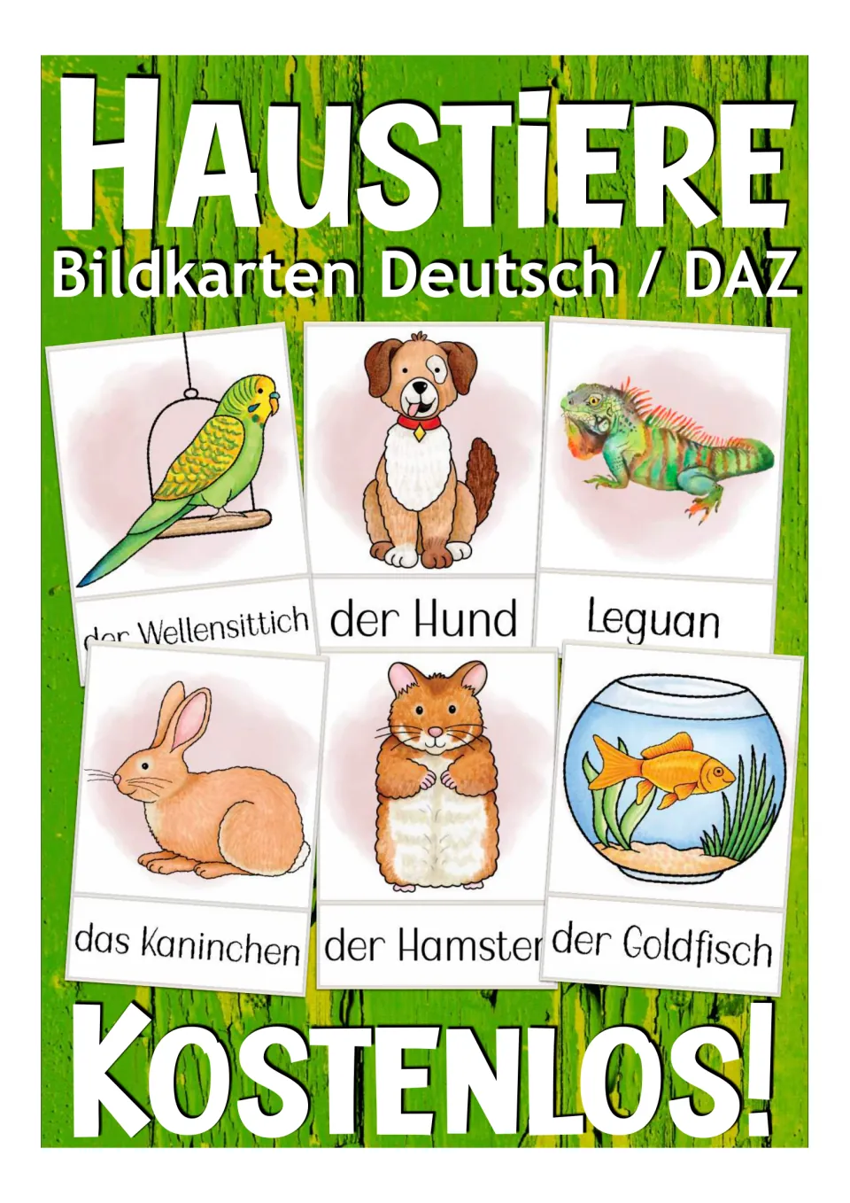 Cover for German pet vocabulary picture cards, headed 'Haustiere' (pets), with six sample animal cards