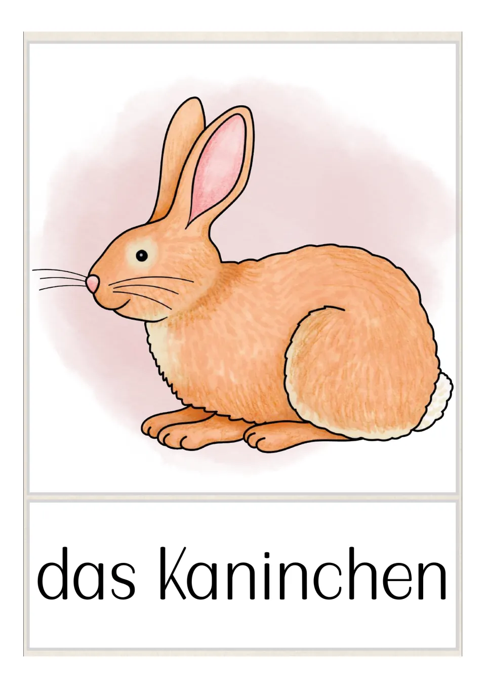 German pet vocabulary flashcard labeled 'das Kaninchen' (rabbit), showing an orange rabbit with long ears