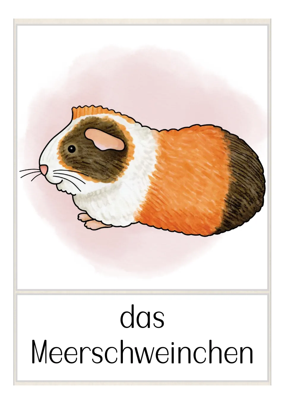German pet vocabulary flashcard labeled 'das Meerschweinchen' (guinea pig), showing a multicolored guinea pig