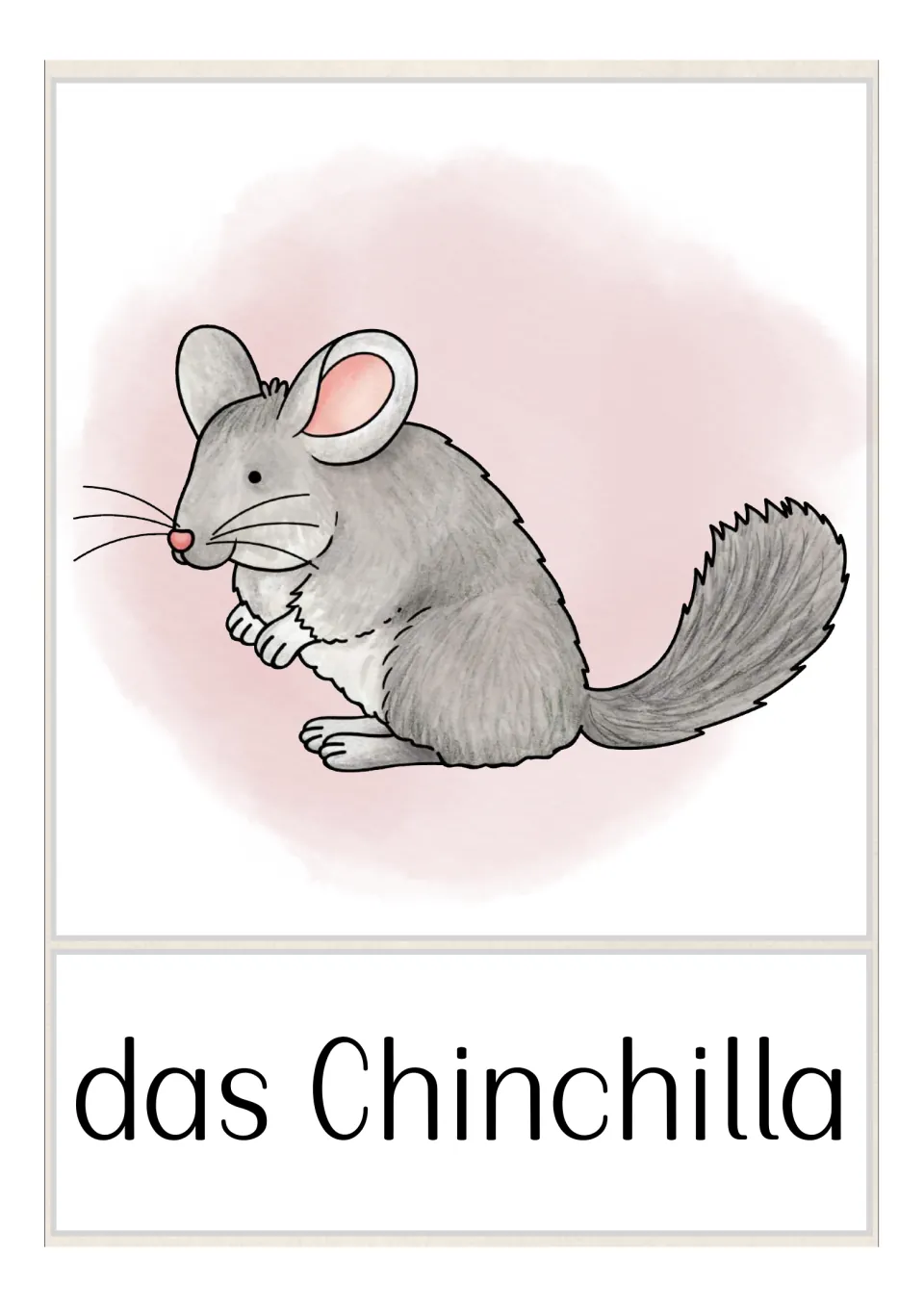 German pet vocabulary flashcard labeled 'das Chinchilla' (chinchilla), showing a gray chinchilla with a bushy tail