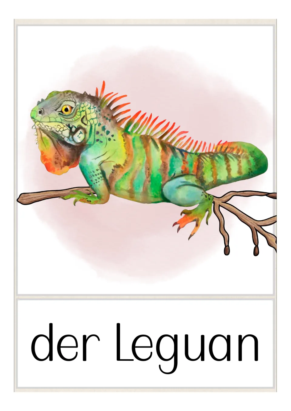 German pet vocabulary flashcard labeled 'der Leguan' (iguana), showing a green iguana resting on a branch