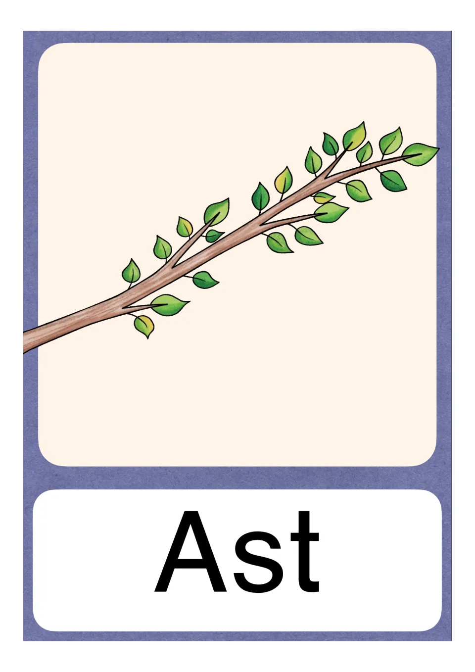 German letter A vocabulary card labeled Ast (branch), showing a leafy branch on a single full-page card