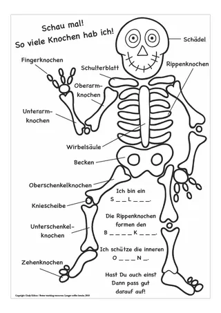 German Skeleton Worksheet – Label the Bones – cover
