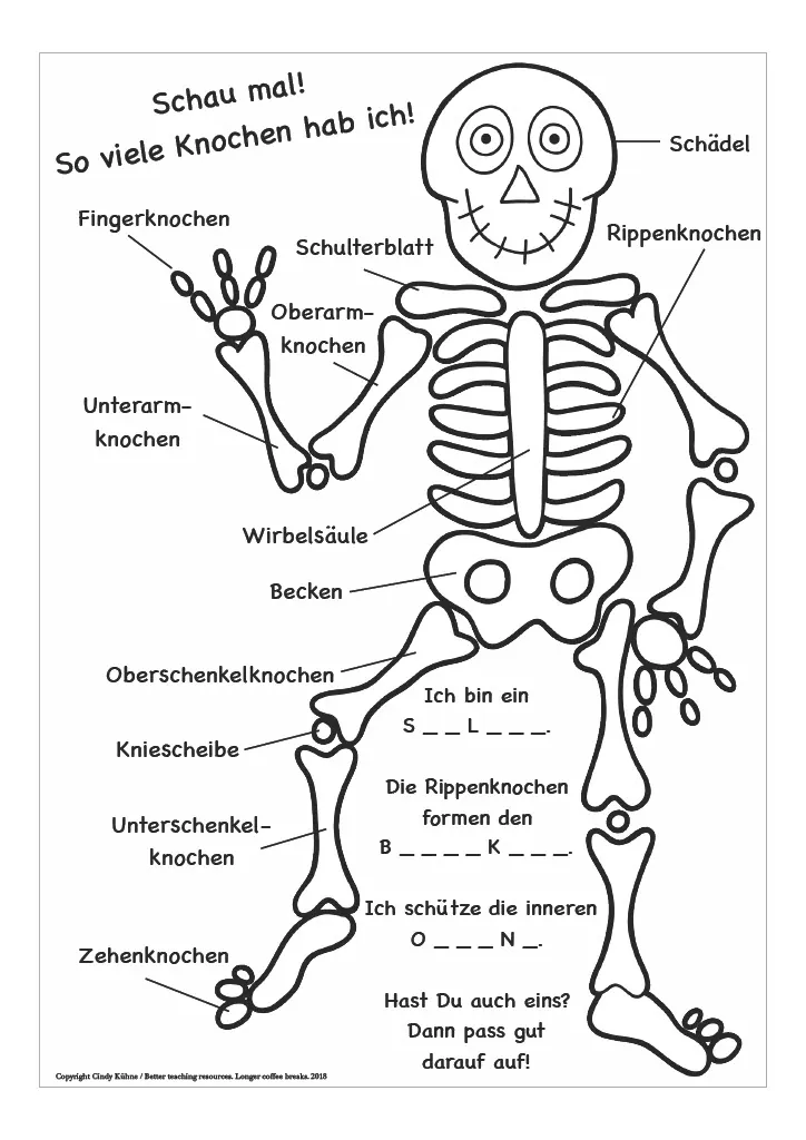 German Skeleton Worksheet – Label the Bones – cover