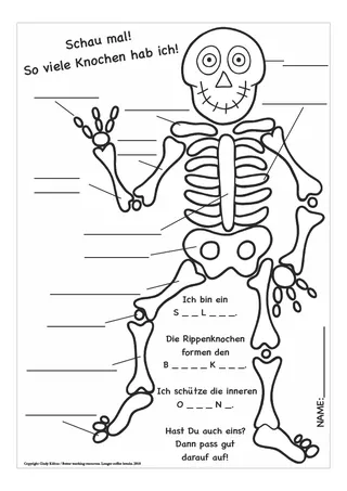 German Skeleton Worksheet – Label the Bones – sample page 2