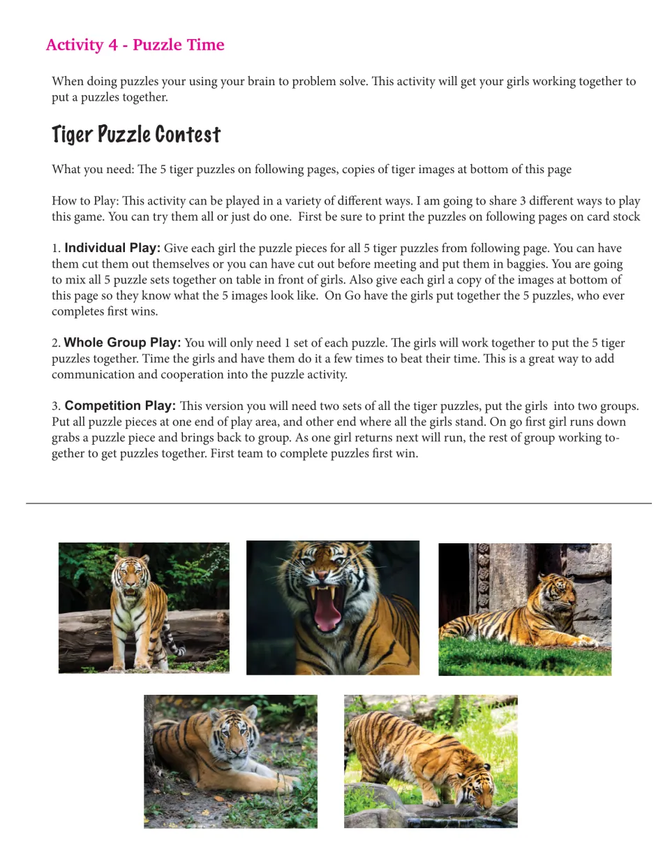 Tiger Puzzle Contest: three ways to play (individual, whole group, relay competition) plus five tiger reference photos