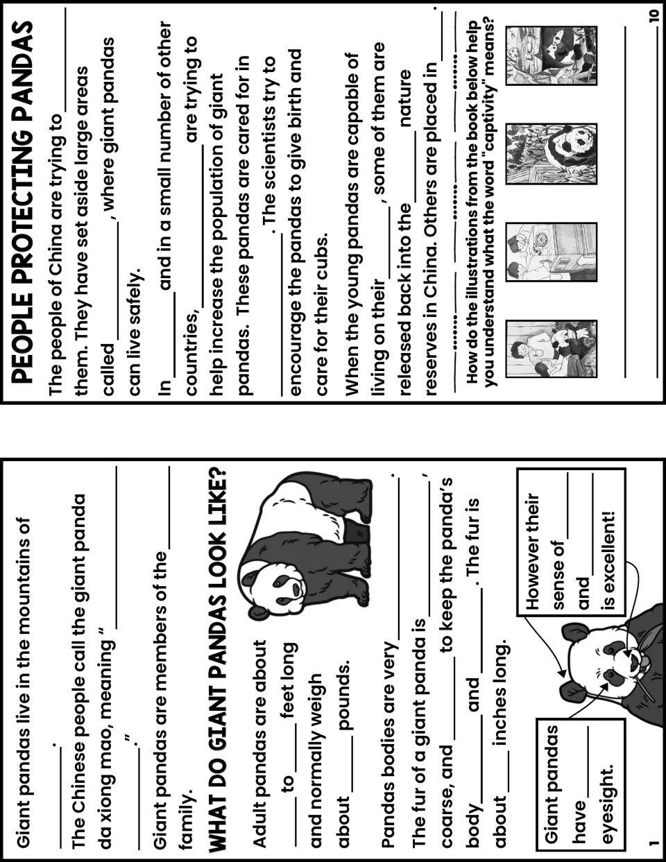 Notes booklet pages 1 and 10 ask about panda appearance, senses, conservation, and the meaning of captivity.