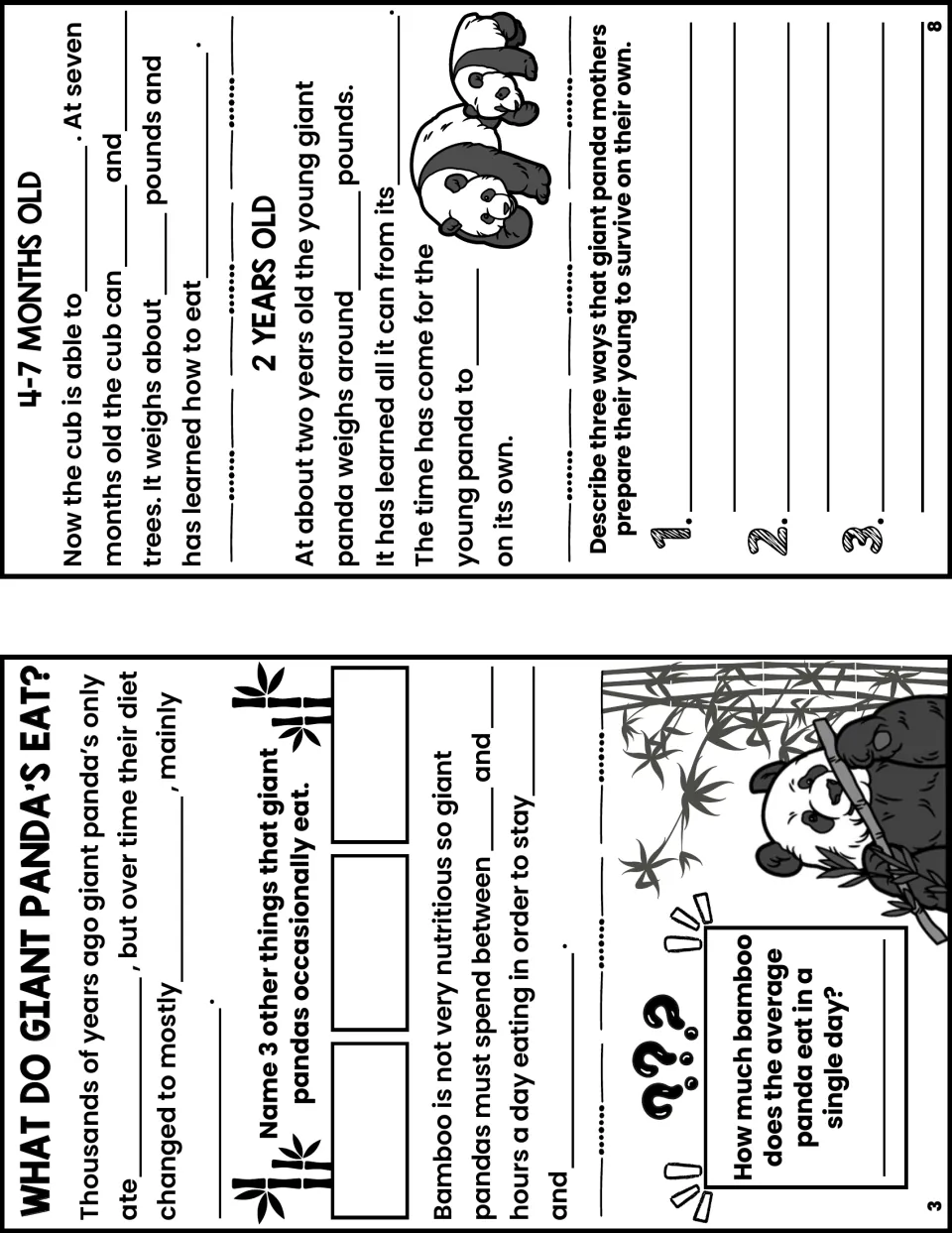 Notes booklet pages 3 and 8 ask about panda diets, eating time, and cub development from 4 months to 2 years.