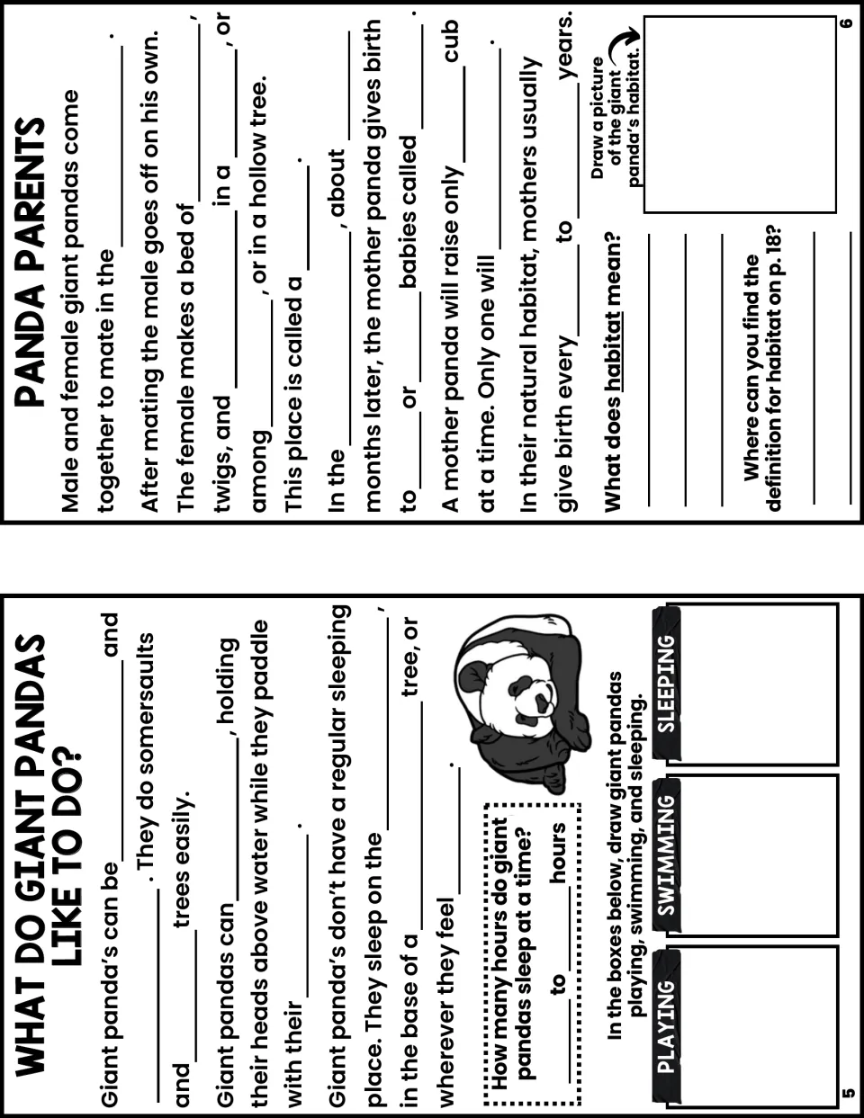 Notes booklet pages 5 and 6 ask about panda play, swimming, sleep, parenting, and the meaning of habitat.