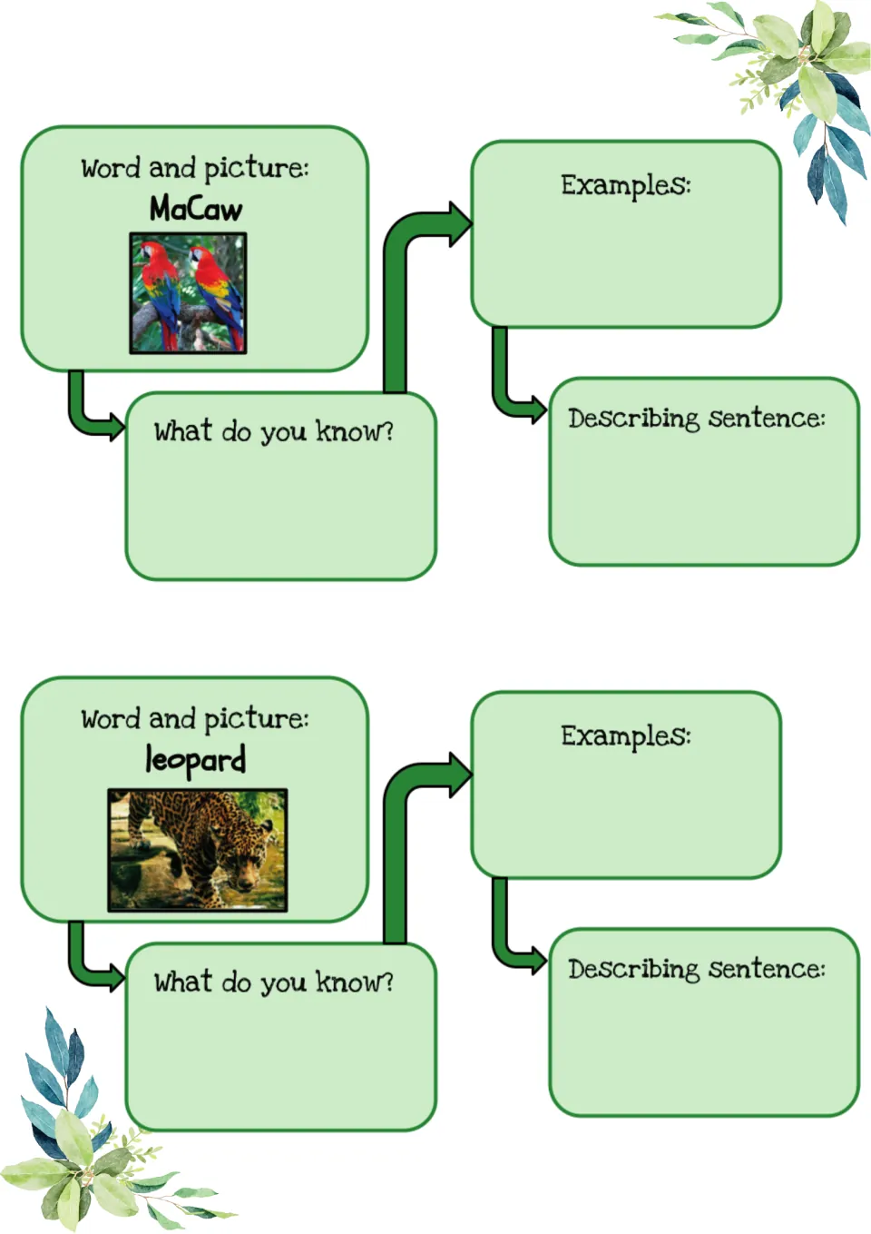 Mind maps for macaw and leopard: students use each photo to note what they know, give examples and write a sentence