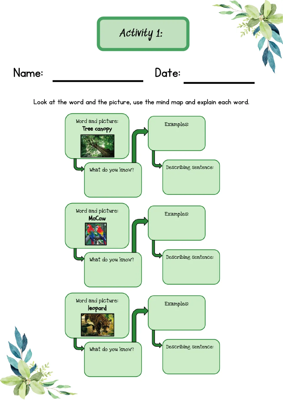 One-page Activity 1: three mind maps for tree canopy, macaw and leopard, each asking what students know plus examples