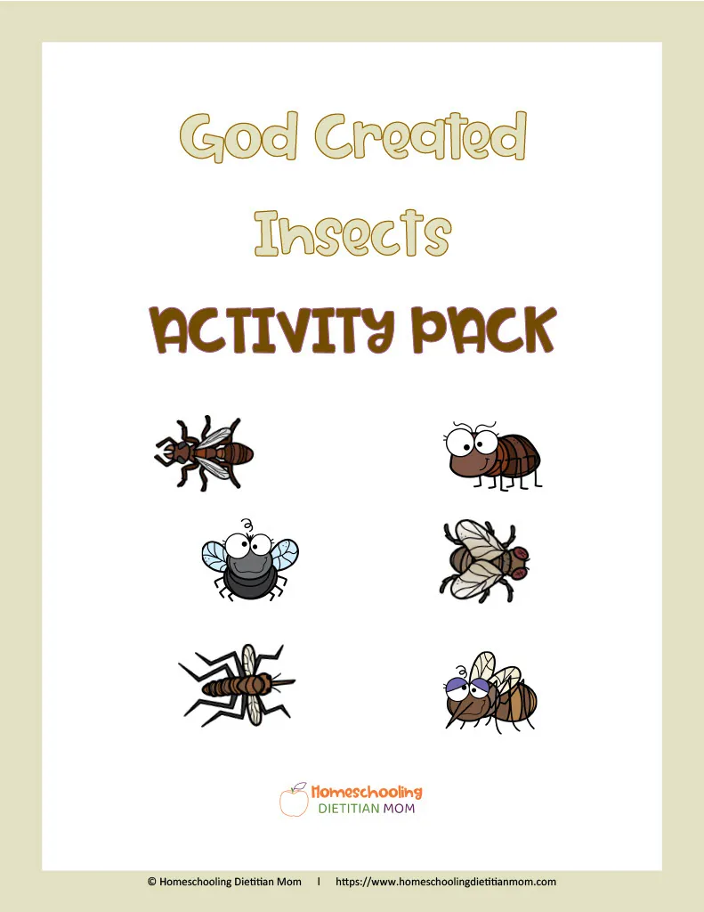 God Created Bugs and Insects Activity Pack – cover