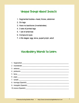 God Created Bugs and Insects Activity Pack – sample page 2
