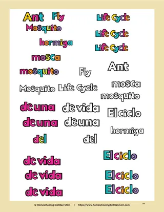 God Created Bugs and Insects Activity Pack – sample page 4