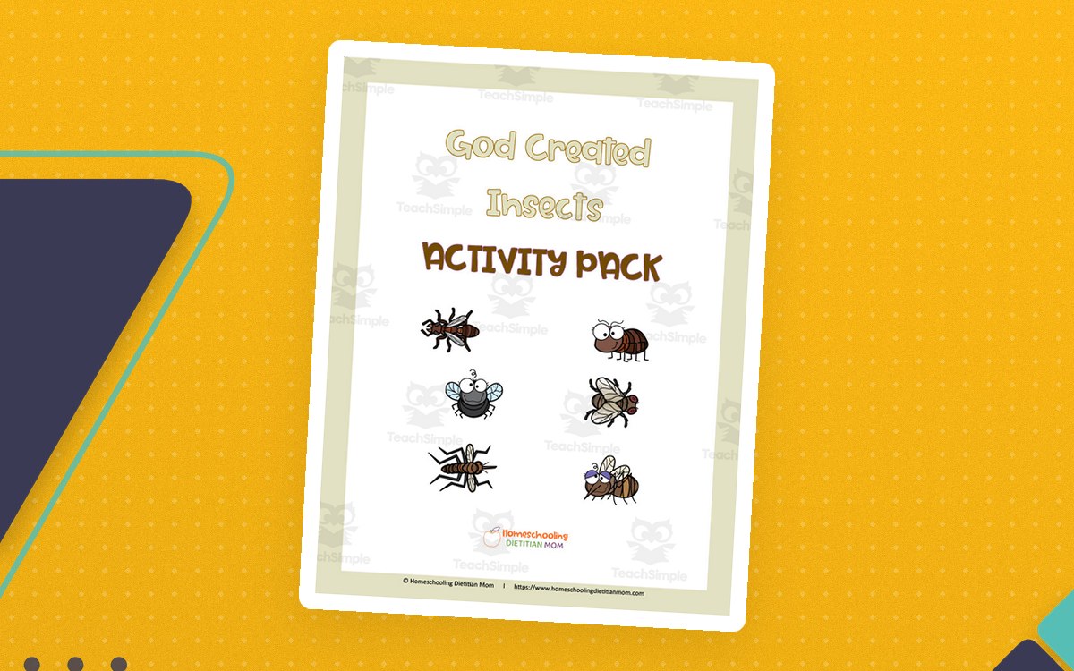 God Created Bugs and Insects Activity Pack preview