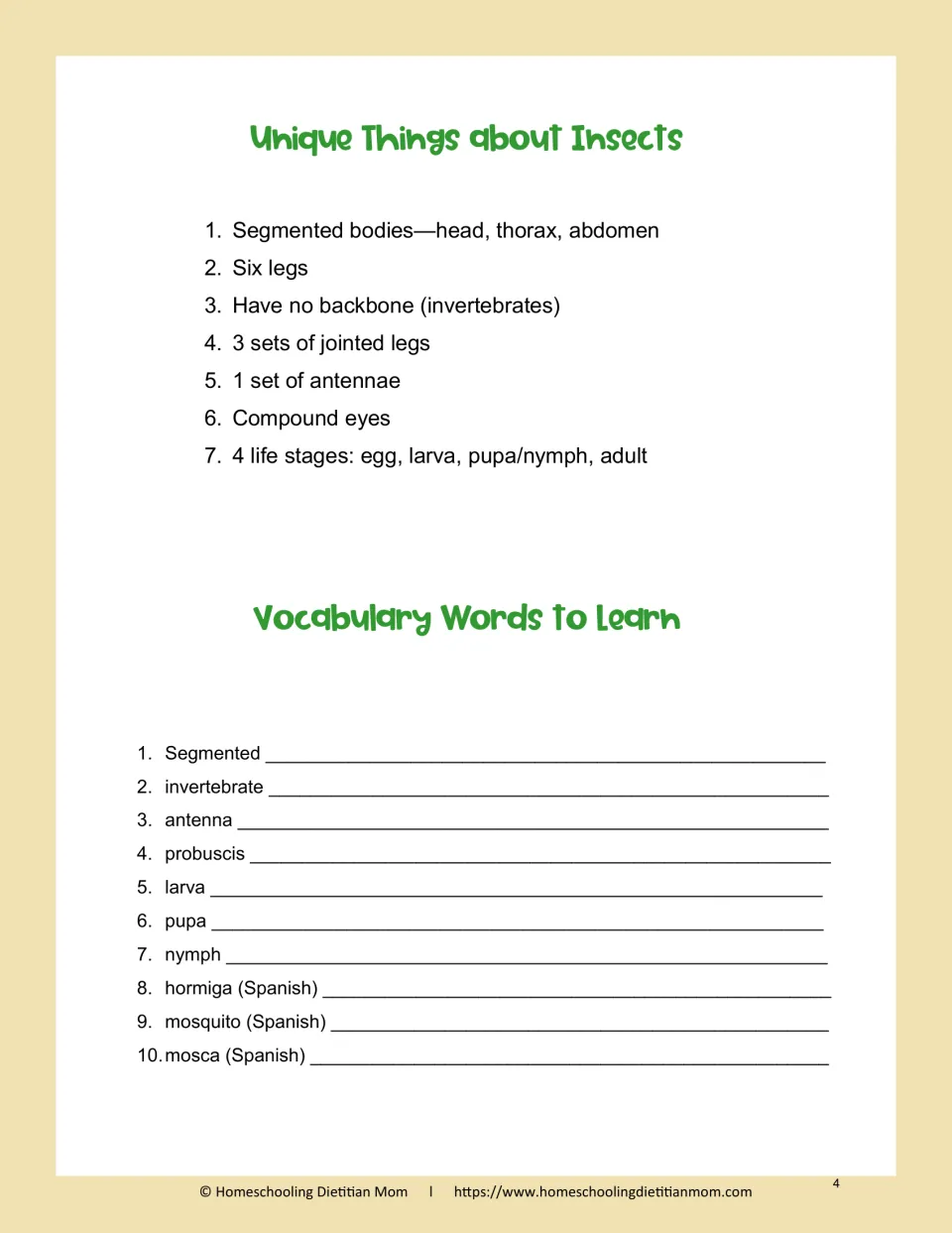 Insect facts list (segmented body, six legs, compound eyes) above 10 vocabulary words to define, including Spanish terms