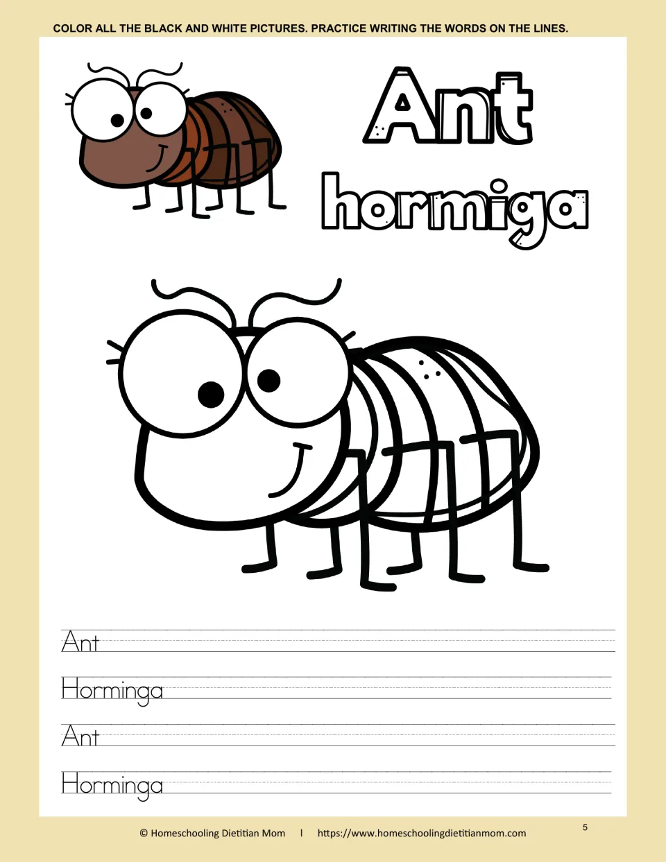 Ant and hormiga: students color a cartoon ant and trace the English and Spanish words on handwriting lines for practice