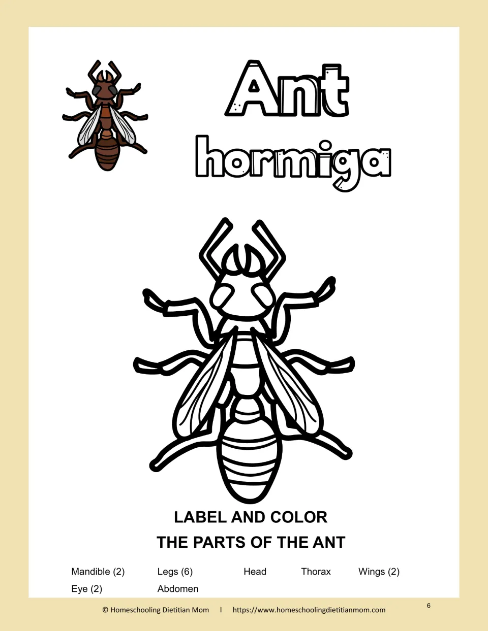 Ant anatomy: students label and color the head, thorax, abdomen, mandibles, eyes, six legs and wings of a winged ant