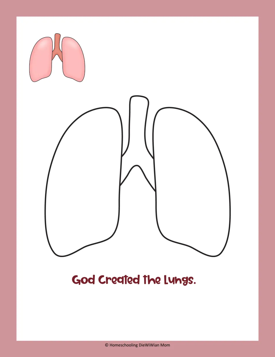 Organ coloring activity featuring a simple lung illustration and the sentence 'God Created the Lungs.'