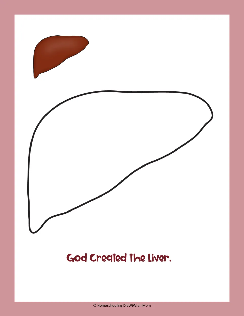 Organ coloring activity featuring a simple liver illustration and the sentence 'God Created the Liver.'