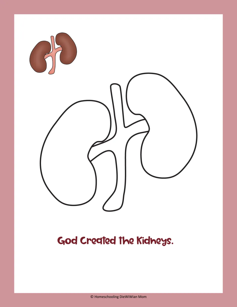 Organ coloring activity featuring a simple kidney illustration and the sentence 'God Created the Kidneys.'