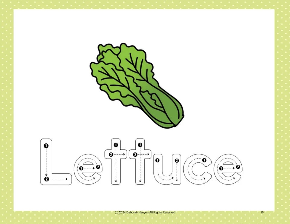 Vegetable handwriting practice: trace 'Lettuce' using numbered stroke arrows beneath a lettuce illustration