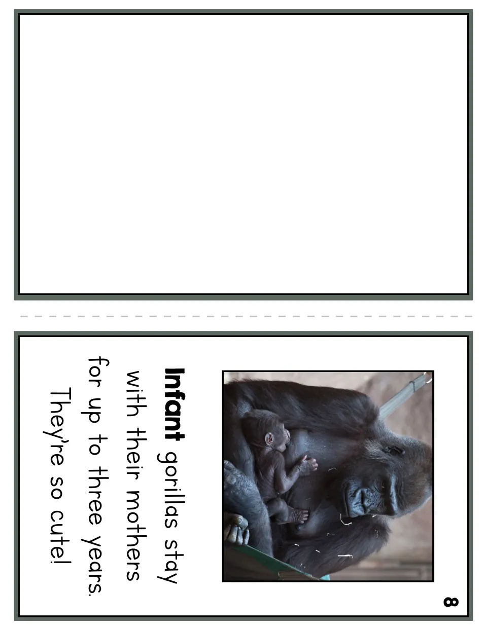 Reader page 8 explains that infant gorillas stay with their mothers for up to three years, with a mother-baby photo