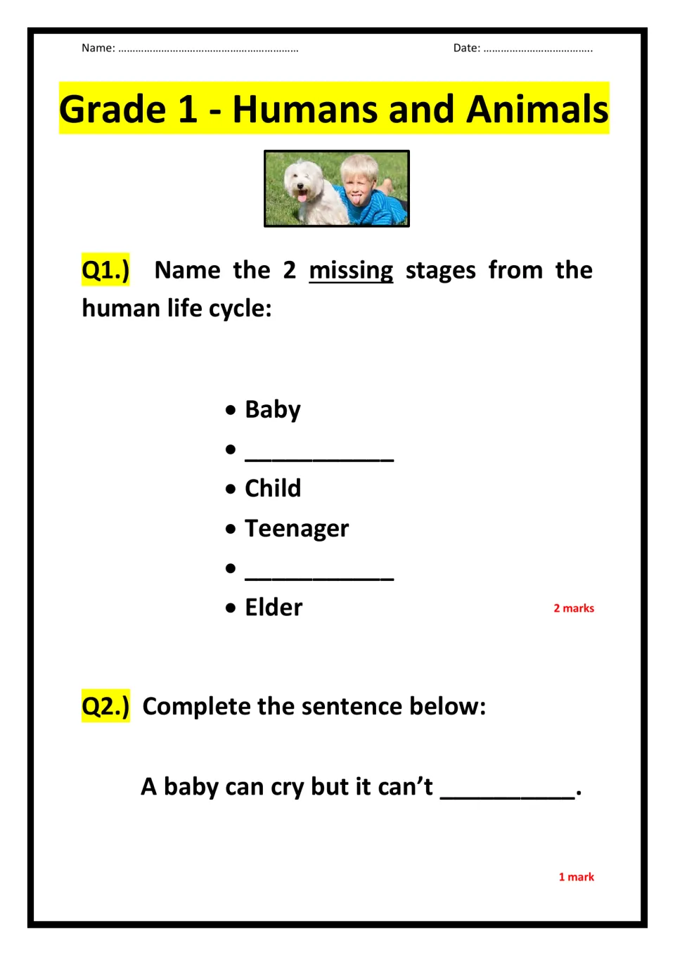 Human life cycle: students name 2 missing stages between Baby and Elder, then finish a sentence on what babies can't do