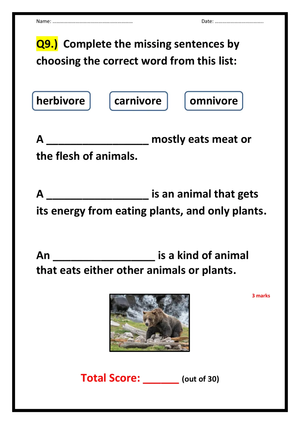 Animal diets: students complete 3 definitions using herbivore, carnivore and omnivore, with a total score out of 30