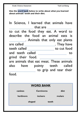 Grade 2 Teeth and Eating Science Assessment – sample page 3