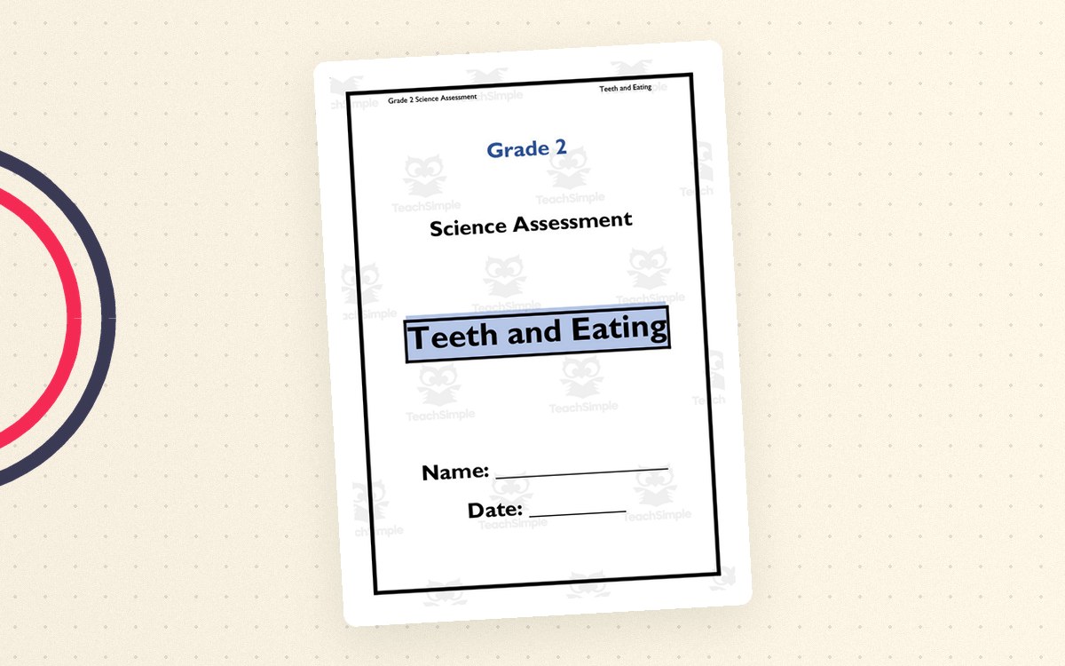 Grade 2 Teeth and Eating Science Assessment preview