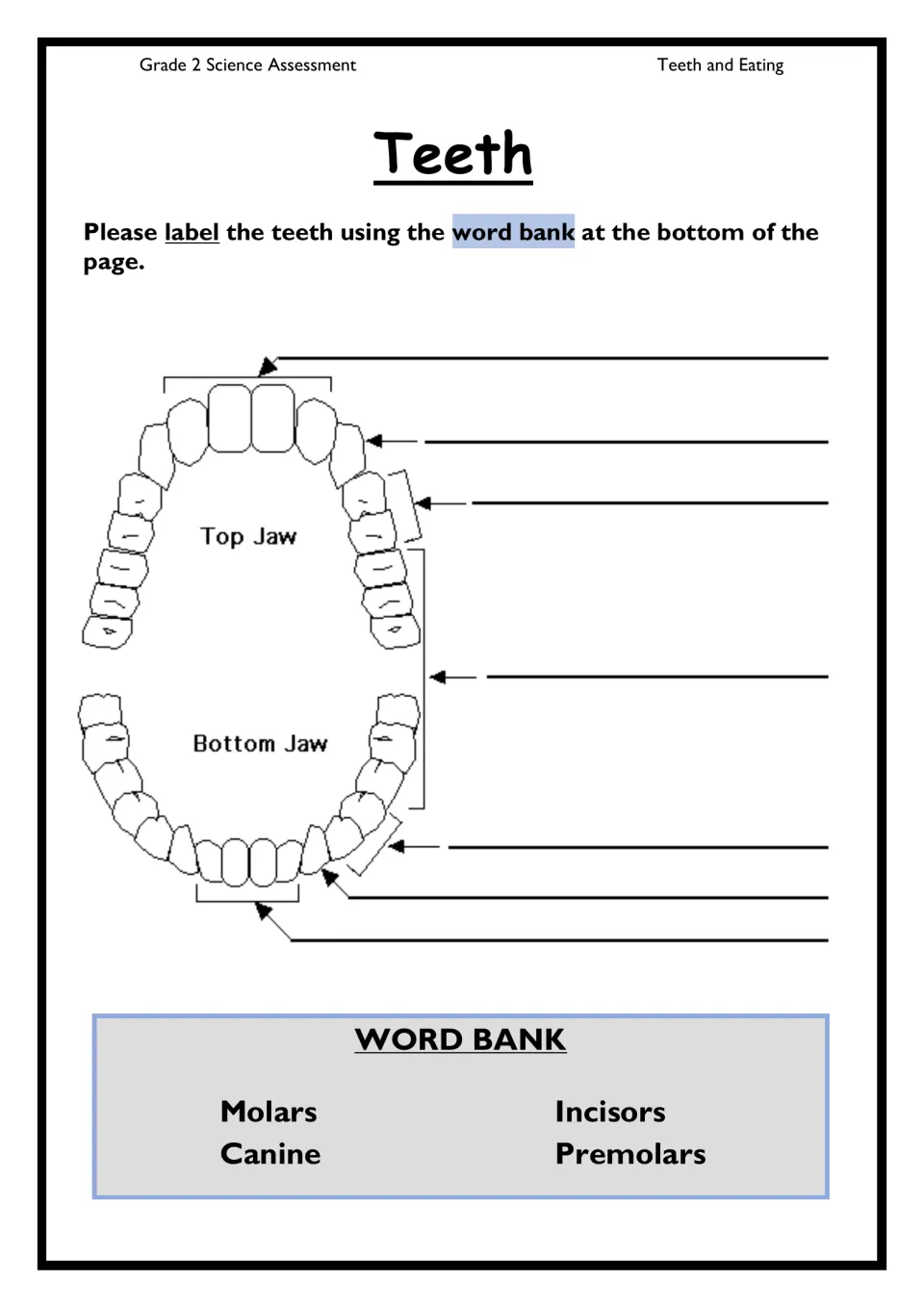 Teeth diagram labeling: students label the top and bottom jaw using molars, canine, incisors and premolars