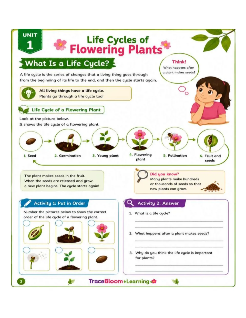 Life cycle lesson traces seed to fruit and seeds, followed by picture sequencing and three written questions