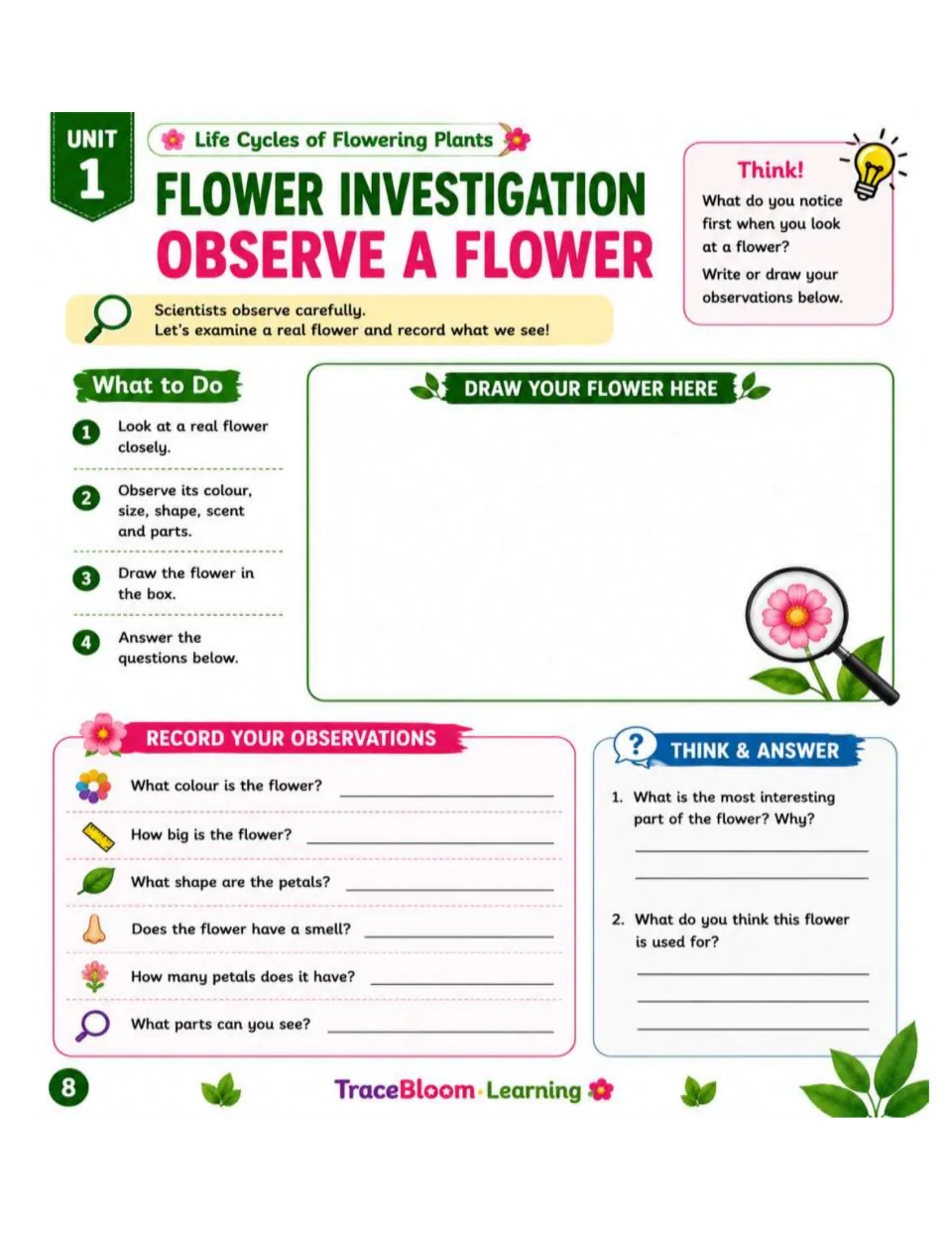 Flower investigation asks students to draw a real flower and record its color, size, petal shape, scent, and parts