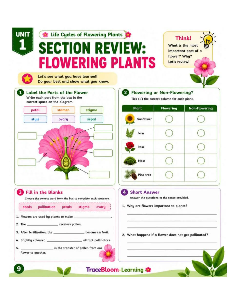 Flowering plants review includes flower labeling, plant classification, five fill-in sentences, and short answers