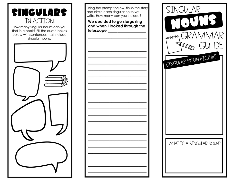 Singular nouns foldable: students find singular nouns in books, finish a stargazing story and define a singular noun