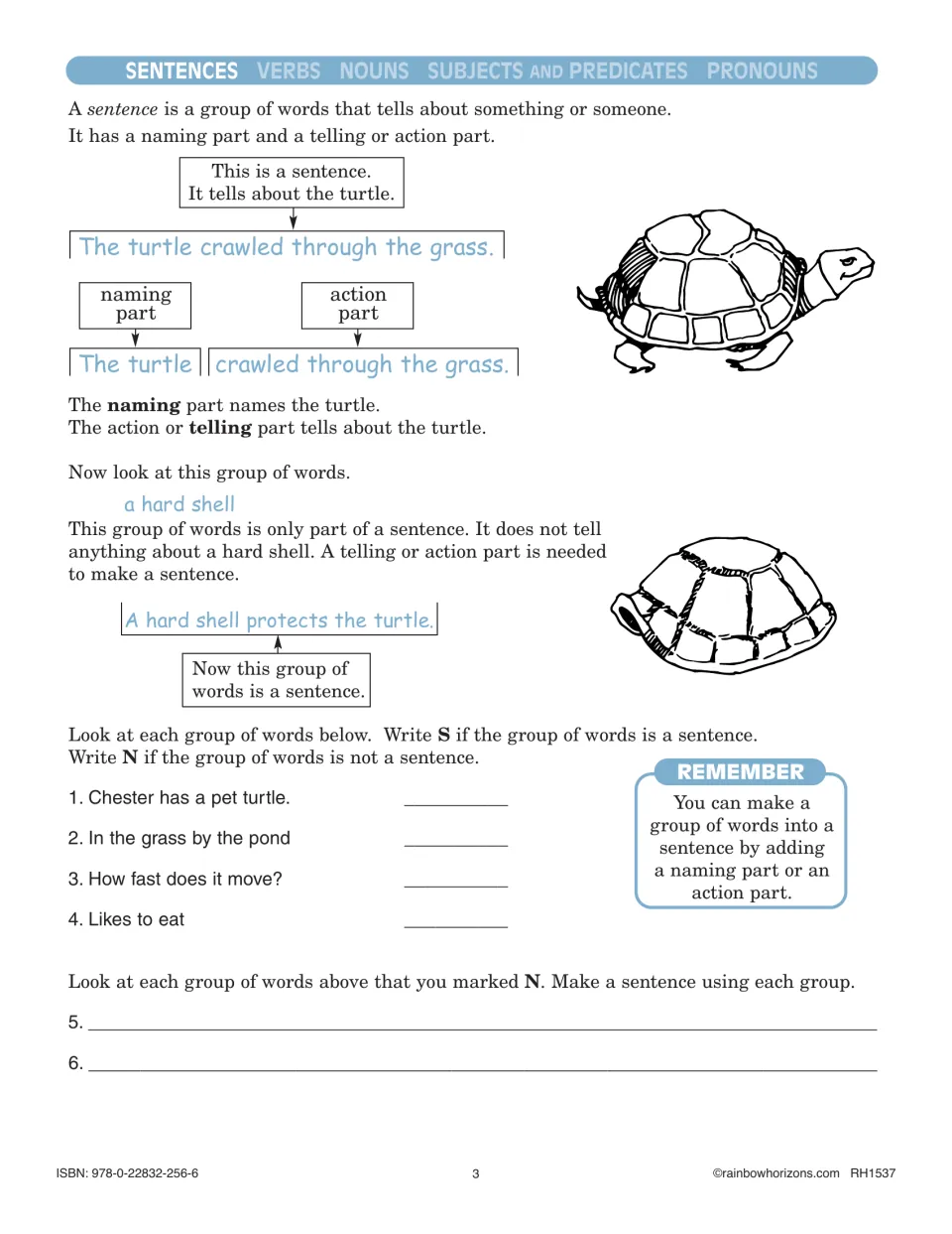 Sentence lesson using “The turtle crawled through the grass,” followed by sentence and fragment practice
