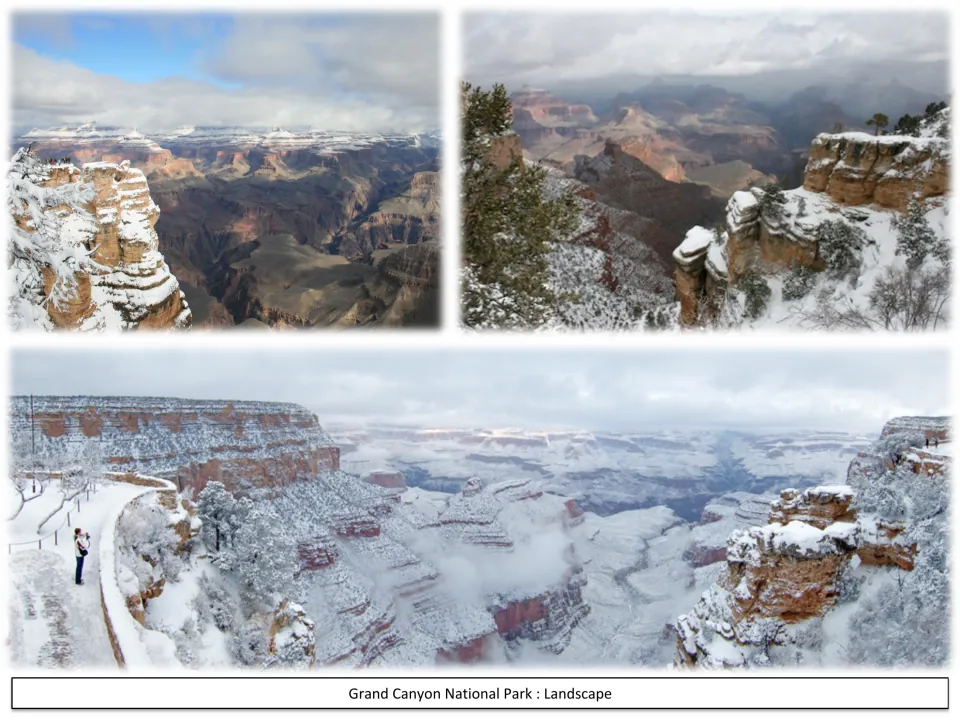Winter photos of the canyon with snow covering the rim, trees and rock ledges and a visitor standing on a snowy path