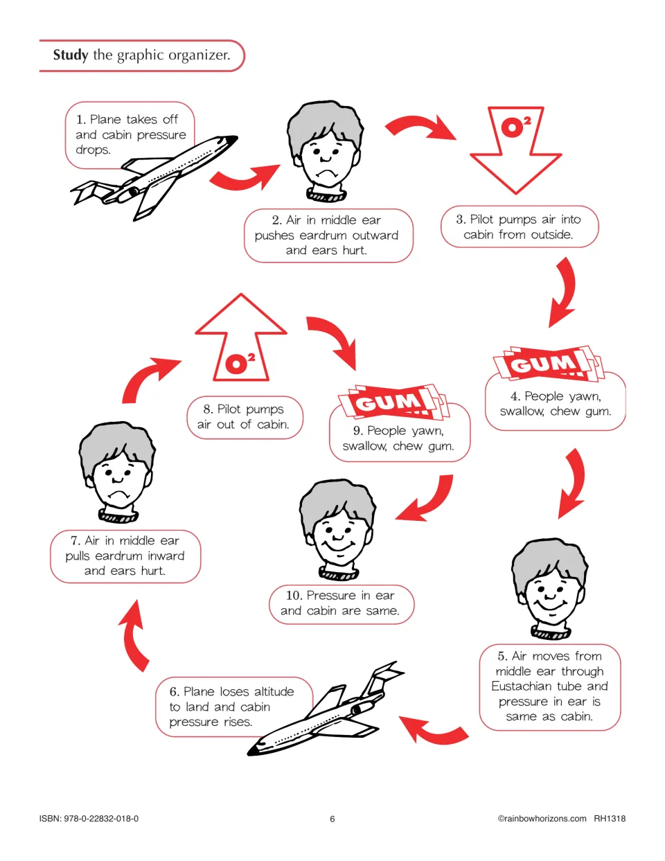 Ear pressure on a flight as a 10-step cycle organizer: takeoff, ears hurting, yawning or chewing gum, landing