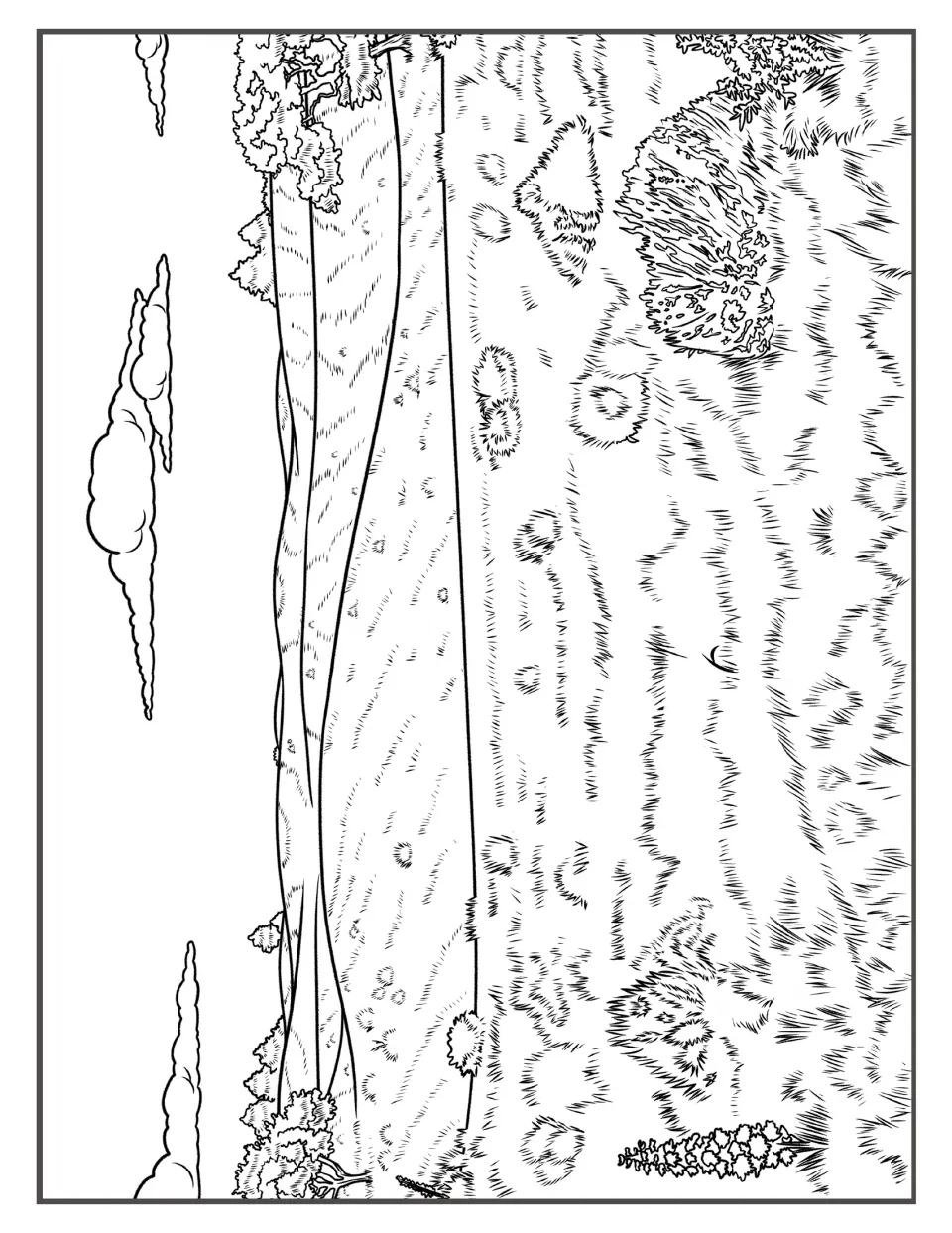 Prairie meadow scene: students colour layered rolling fields edged by a tree line, with bushes and grass in front