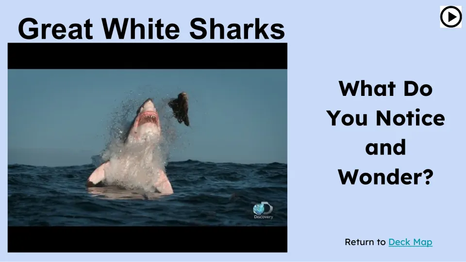 Opening shark video prompt asks 'What Do You Notice and Wonder?' beside a shark breaching the water.