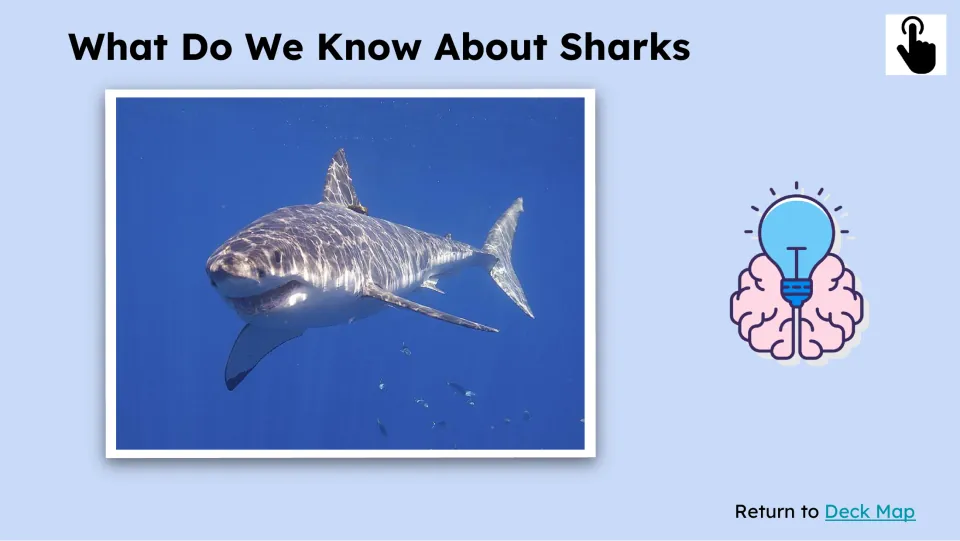 Prior-knowledge slide titled 'What Do We Know About Sharks' shows a swimming great white shark and a touch icon.