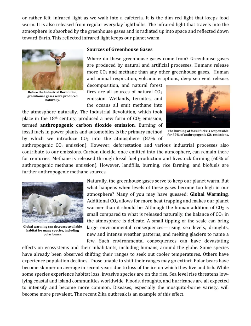 Sources of greenhouse gases: students read about natural and fossil-fuel CO2 and methane and global warming's effects