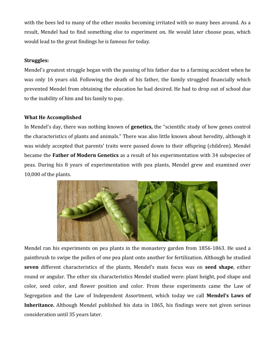Mendel reading on his struggles and pea plant experiments: seven traits studied, seed shape focus, Laws of Inheritance