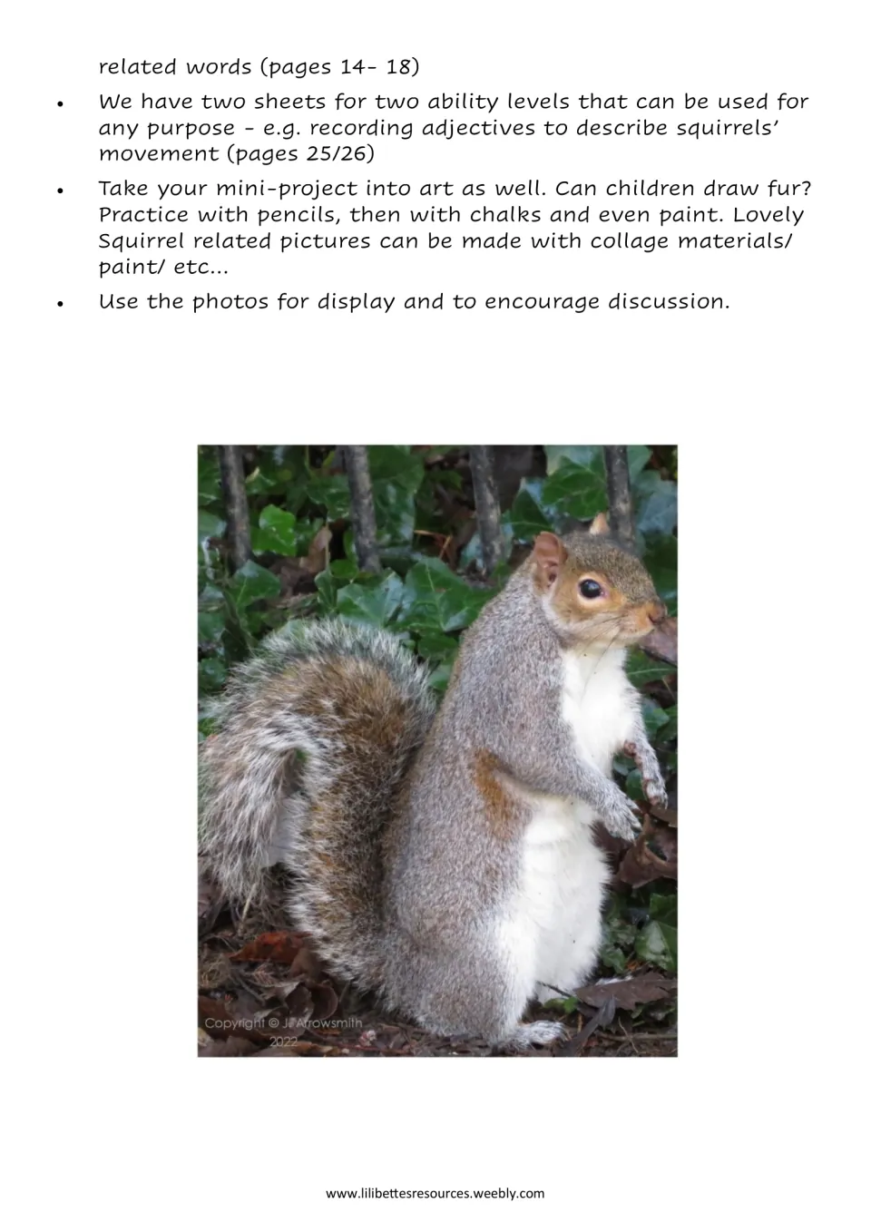 More activity ideas, such as recording movement adjectives and drawing fur in art, with a photo of a grey squirrel standing
