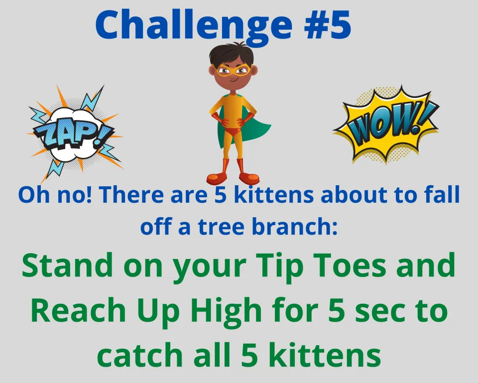 Challenge #5 kittens on a branch: students stand on tiptoes and reach up high for 5 seconds to catch 5 kittens